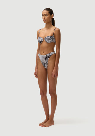 Gabriel Top | Zebra