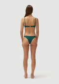 Mr Smith Bottom | Botanical